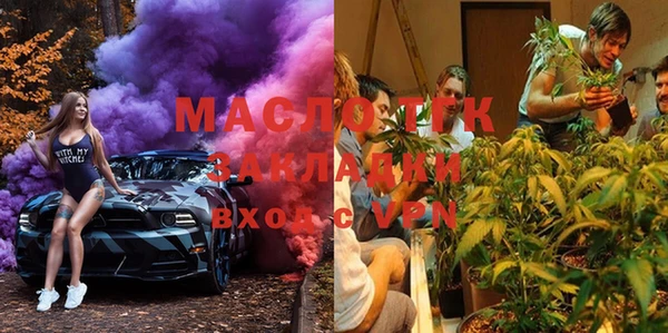 гидра Богородск