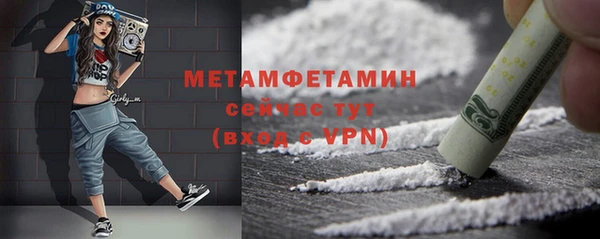 гидра Богородск