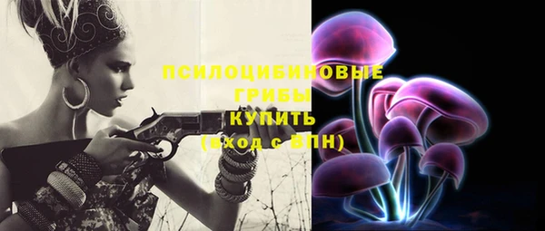 гидра Богородск