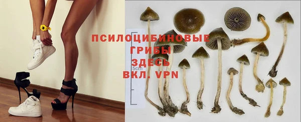 хмурый Богородицк