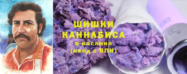 гидра Богородск