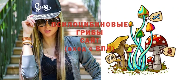 хмурый Богородицк