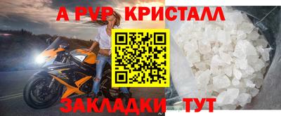 спиды Гагарин