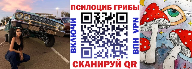 blacksprut tor Горно-Алтайск Псилоцибиновые грибы ЛСД